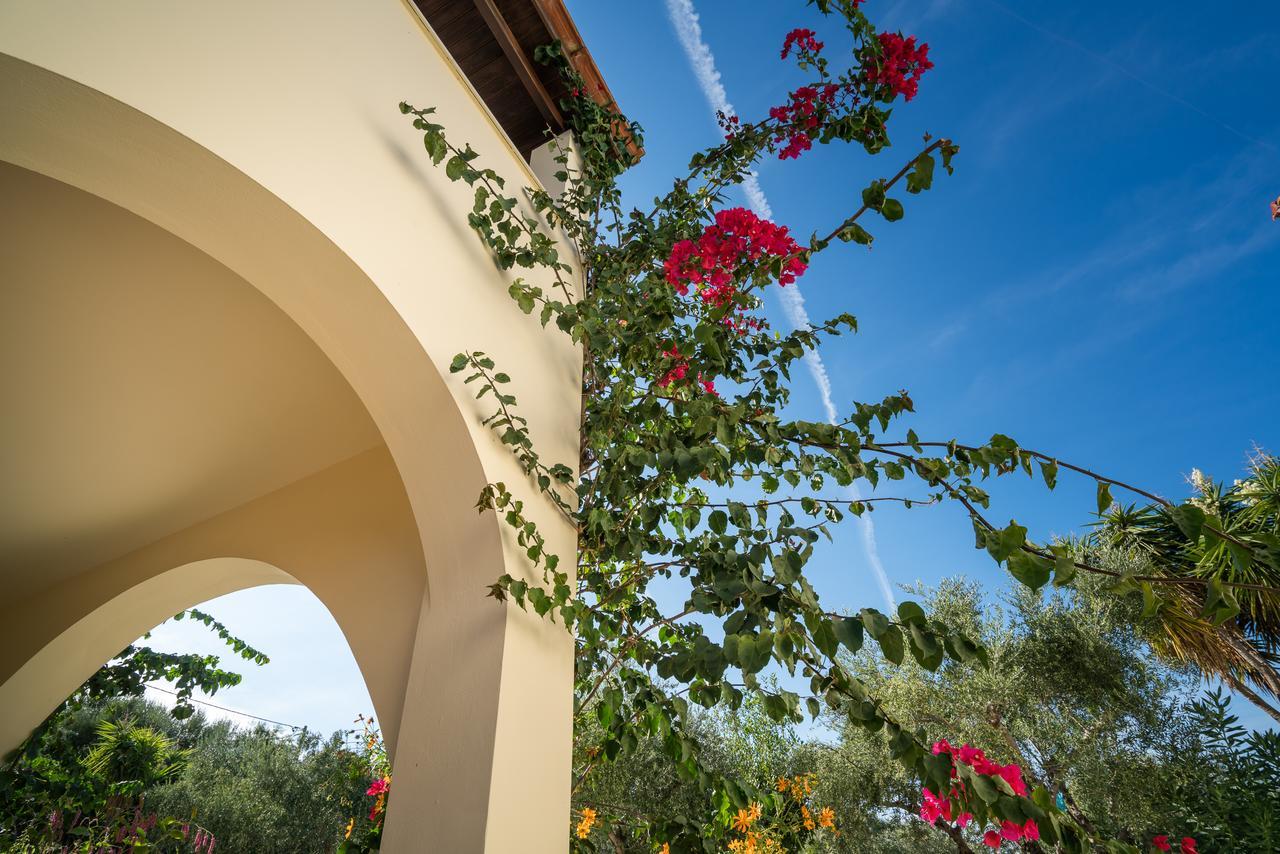 Apartment Olga Vasilikos (Zakynthos)